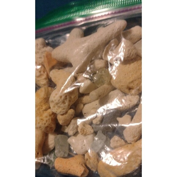 Corals and Beach Gems - Picture 7 of 7